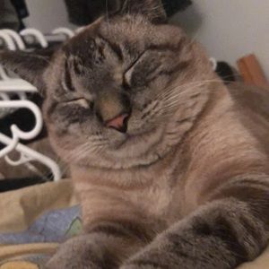 Meet your Posher, Mai